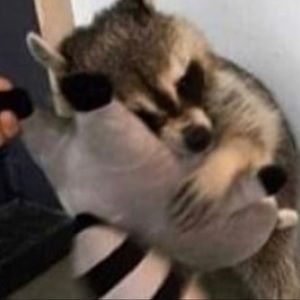 Meet your Posher, Sidney